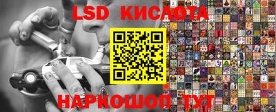 прущие грибы Канаш