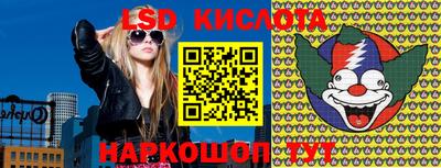 прущие грибы Канаш