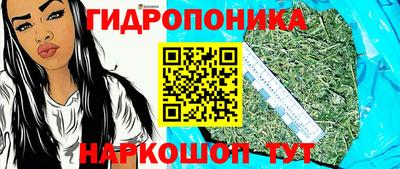 прущие грибы Канаш