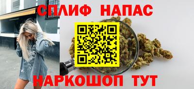 прущие грибы Канаш