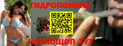 прущие грибы Канаш