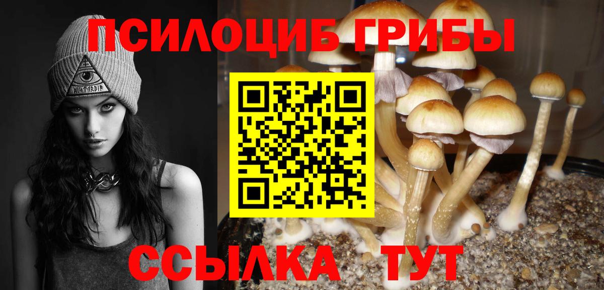 Галлюциногенные грибы MAGIC MUSHROOMS  Вход с VPN  Усть-Илимск 